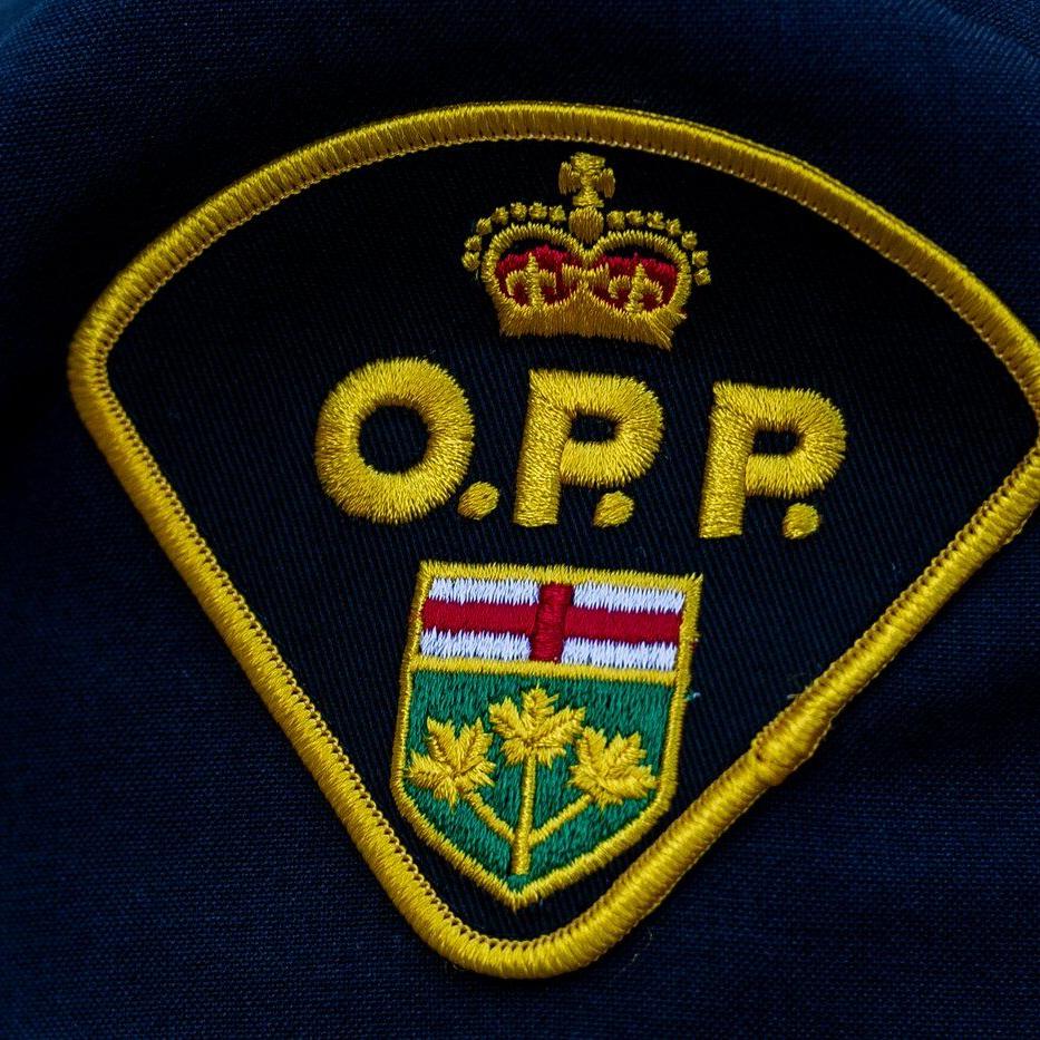 Woman faces 14 charges after attempted abduction at Napanee, Ont., soccer field